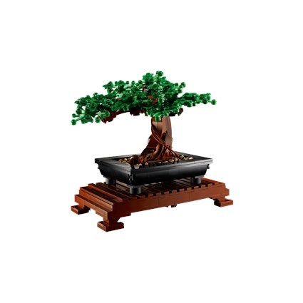 Bonsai Tree