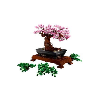 Bonsai Tree