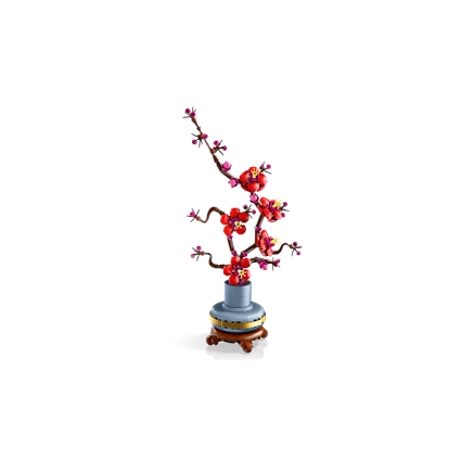 Plum Blossom