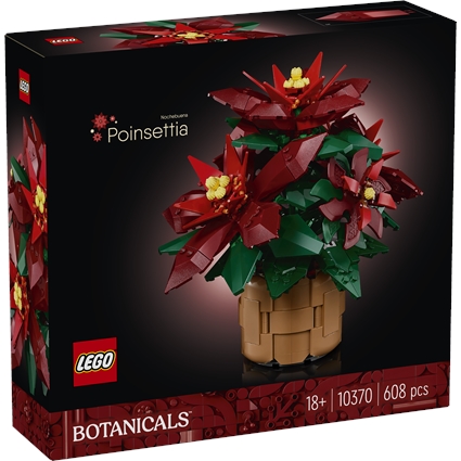 Poinsettia