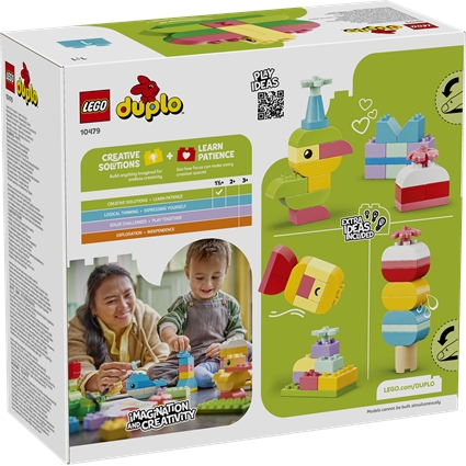 Colorful Creative Box