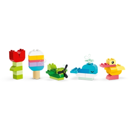 Colorful Creative Box