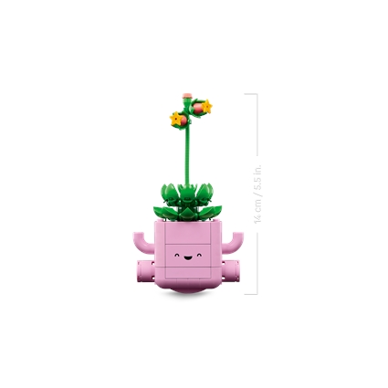 Plantas de Balançar