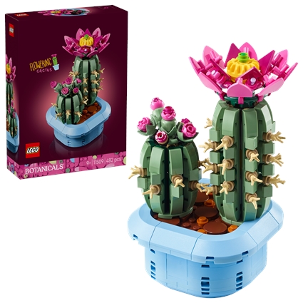Flowering Cactus