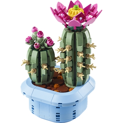 Flowering Cactus