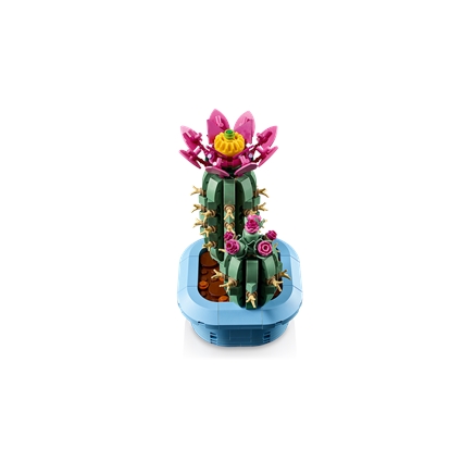 Flowering Cactus