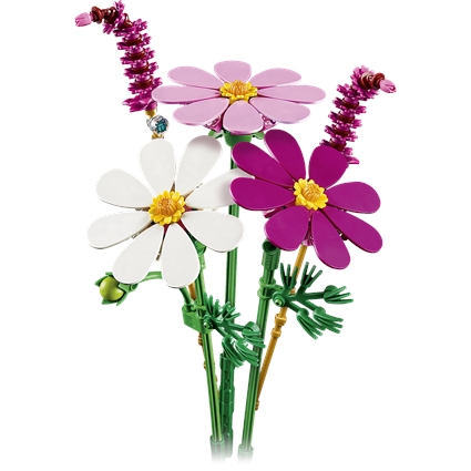 Cosmos