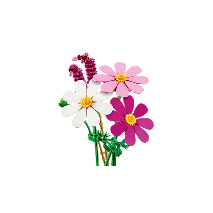 Cosmos