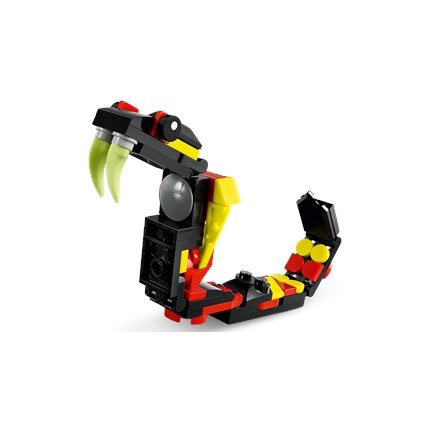 Wild Animals: Surprising Spider