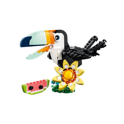Wild Animals: Tropical Toucan