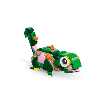 Turtle with a Water Lily Flower