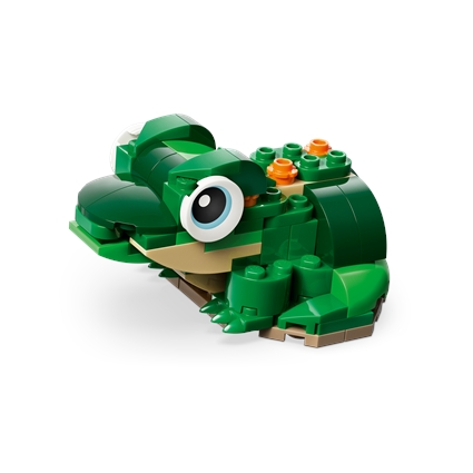 Turtle with a Water Lily Flower