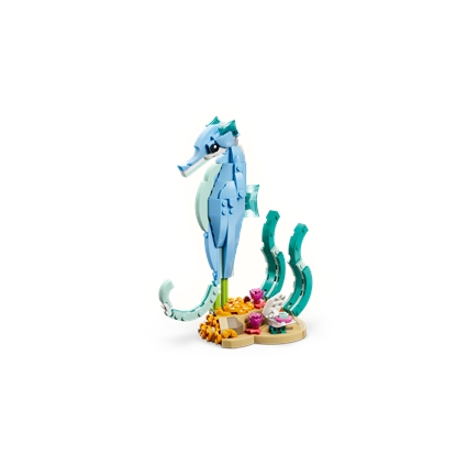 Sea Animals: Beautiful Dolphins