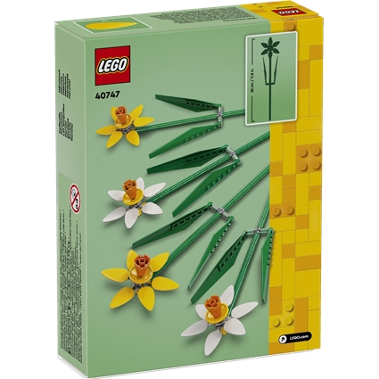 Daffodils