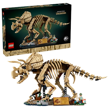 Fósseis de Dinossauros: Triceratops