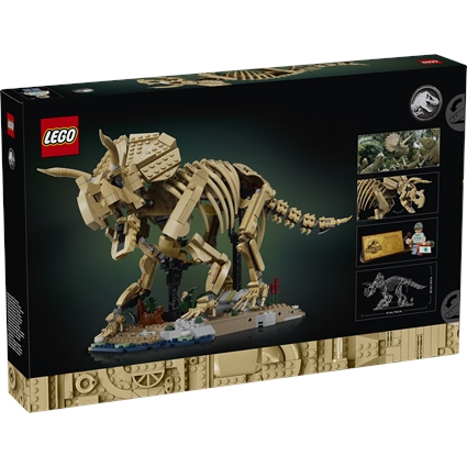 Fósseis de Dinossauros: Triceratops