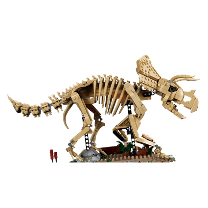 Fósseis de Dinossauros: Triceratops