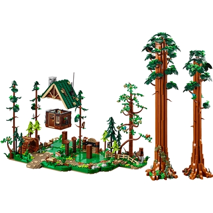 Trilho da Sequoia