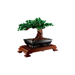 Bonsai Tree