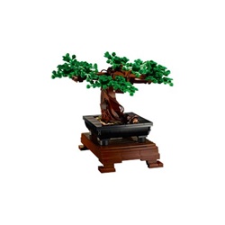 Bonsai Tree