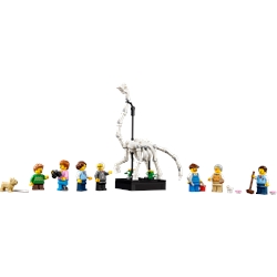 Museu de História Natural