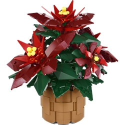 Poinsettia