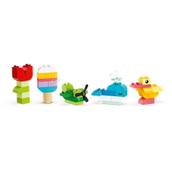 Colorful Creative Box