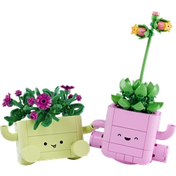 Plantas de Balançar