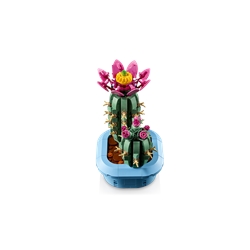 Flowering Cactus