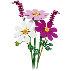 Cosmos