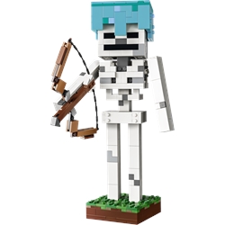 The Skeleton