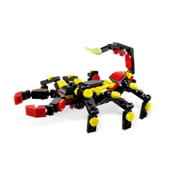 Wild Animals: Surprising Spider