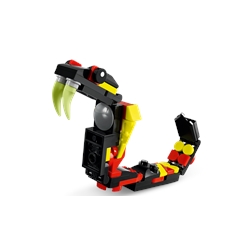 Wild Animals: Surprising Spider