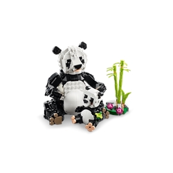 Wild Animals: Panda Family