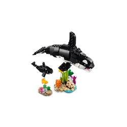 Wild Animals: Panda Family