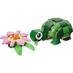 Turtle with a Water Lily Flower
