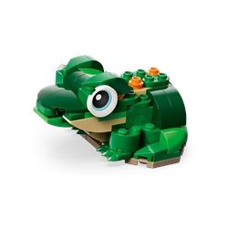 Turtle with a Water Lily Flower