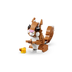 Cute Animals: Playful Puppy Dog