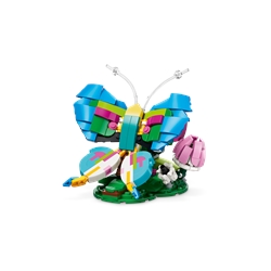 Wild Animals: Colorful Hummingbird