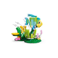 Wild Animals: Colorful Hummingbird