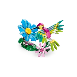 Wild Animals: Colorful Hummingbird