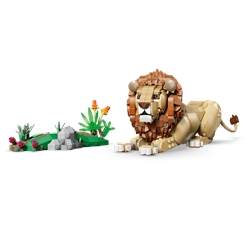 Wild Animals: Majestic Lion