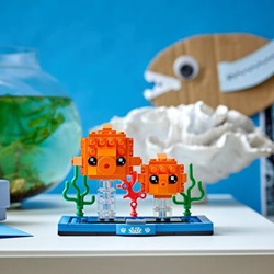 Goldfish