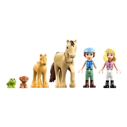 Trailer com Égua e Potro