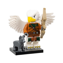 Aarakocra Ranger