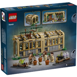 Hogwarts Castle: Herbology Class