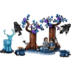 Forbidden Forest: Expecto Patronum