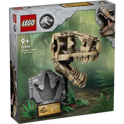Dinosaur Fossils: T-Rex Skull
