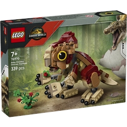 Baby Dinosaur Dolores: Aquilops