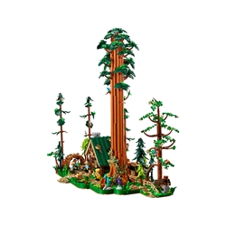 Trilho da Sequoia